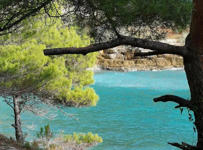 아파트 Andrea 풀라