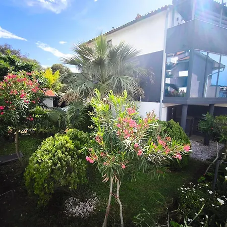 Apartment Andrea Pula